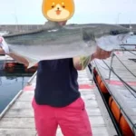 釣りまる　🎣